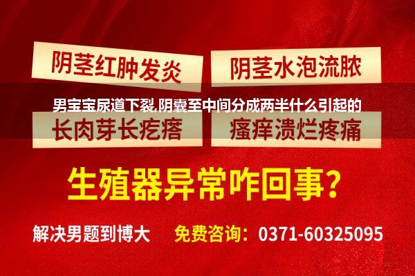 男宝宝尿道下裂,阴囊至中间分成两半什么引起的